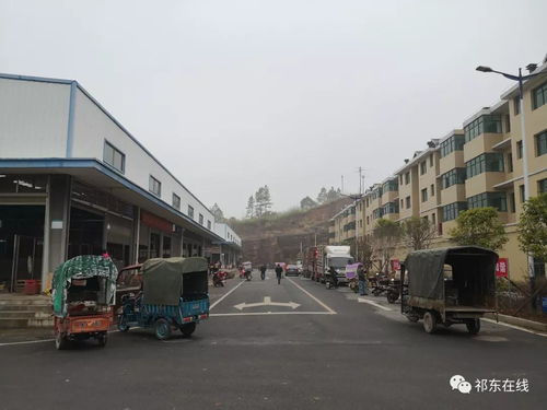 祁东县大型活禽水产综合批发市场 位置、功能与区域商贸新格局